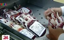 Bộ Y tế đề nghị đảm bảo cung ứng máu tại các bệnh viện Đồng bằng Sông Cửu Long