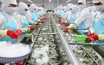 Đẩy mạnh xuất khẩu thủy sản những tháng cuối năm
