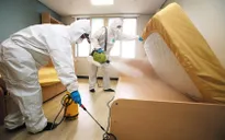 Hàn Quốc mở chiến dịch diệt rệp toàn quốc