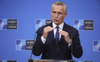 NATO kêu gọi củng cố liên minh sau khi Nga rút khỏi hiệp ước CFE
