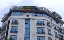 Tập đoàn Mỹ Hạnh (MHG) huy động 1.200 tỷ đồng trồng sâm Ngọc Linh ảo