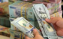 Áp lực tỷ giá có dấu hiệu hạ nhiệt