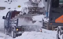 Đợt tuyết bất thường tại các nước Đông Bắc Á