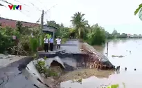 Dồn lực phòng chống sạt lở bờ sông đồng bằng sông Cửu Long