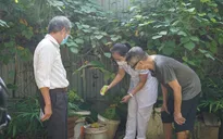 Hà Nội: Số ca mắc sốt xuất huyết trong tuần giảm nhẹ