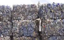 Nỗ lực toàn cầu chống rác thải nhựa
