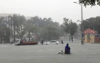 Mưa lũ gây nhiều thiệt hại về người và tài sản ở khu vực miền Trung