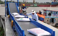 [INFOGRAPHIC] Các thị trường xuất khẩu gạo của Việt Nam
