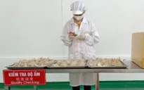 Xuất khẩu lô tổ yến đầu tiên sang Trung Quốc