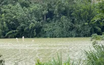 Đã tìm thấy thi thể hai vợ chồng mất tích trong lũ ở Quảng Trị