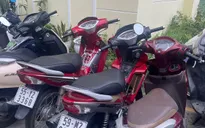 Công an TP Hồ Chí Minh triệt phá băng nhóm trộm cắp tài sản