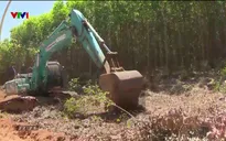 Khai thác cát theo cơ chế đặc thù để làm nền đường cao tốc