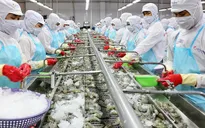 Trung Quốc tăng nhập khẩu thủy sản Việt Nam