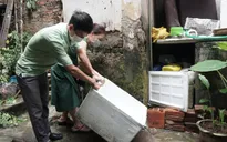 Hà Nội ghi nhận 2.476 ca sốt xuất huyết, số mắc giảm nhẹ so với tuần trước