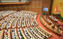 Ngày 21/11, Quốc hội thảo luận về phòng chống tội phạm, tham nhũng