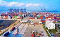 Navigating the headwinds, exports resume growth pace