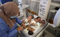 Nhiều trẻ sinh non sơ tán khỏi Gaza trong tình trạng nguy kịch