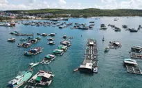Kiên Giang và Na Uy tìm kiếm cơ hội phát triển nghề nuôi biển