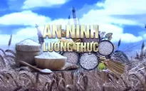 Khủng hoảng lương thực toàn cầu ngày càng sâu sắc