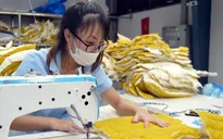Doanh nghiệp hướng đến phát triển xanh, bền vững