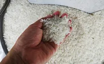 Giá gạo xuất khẩu tiếp tục tăng