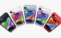 Những mẫu iPhone được coi là thất bại của Apple tại thị trường Việt Nam
