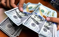 Tỷ giá sẽ hạ nhiệt trong tháng cuối năm 2023?