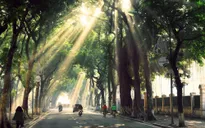 Bắc Bộ nắng ấm, Trung Bộ có mưa to đến rất to