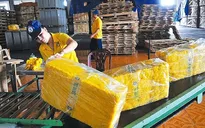Có đơn hàng đến năm 2024, doanh nghiệp tăng tốc sản xuất