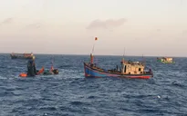 Tàu cá bị sóng đánh chìm, 1 ngư dân mất tích