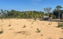 Vũng Tàu: Chuyển công an điều tra 1 cá nhân nhiều lần lấn chiếm hàng ngàn m2 đất công