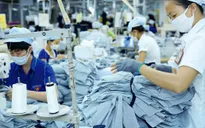 Sôi động thị trường lao động cuối năm
