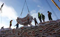 Indonesia ký hợp đồng nhập khẩu 1 triệu tấn gạo từ Việt Nam và 3 nước khác