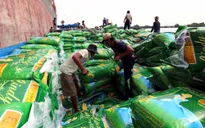Giá tăng cao, gạo Việt khẳng định chỗ đứng trên thế giới