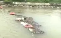 Dòng kênh lớn bị ô nhiễm nghiêm trọng do xác lợn bệnh