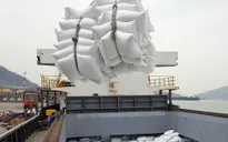 Xuất khẩu gạo cao nhất 34 năm