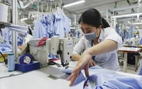 Doanh nghiệp Việt trước thách thức “xanh hóa” của EU