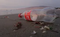 Coca-Cola, Danone và Nestle bị cáo buộc "đánh lừa" về tuyên bố tái chế bao bì nhựa