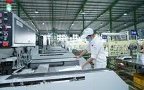 Doanh nghiệp mong chờ sớm sửa đổi Nghị định 132