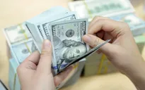 Đồng USD được dự đoán sẽ kéo dài đà giảm