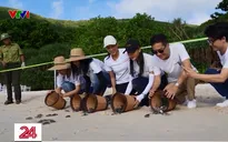 Gây quỹ bảo tồn rùa biển Côn Đảo