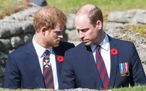 Hoàng tử Harry và William "không có ý định hoà giải"