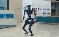Robot hình người với bộ não trí tuệ nhân tạo