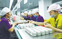 Doanh nghiệp Trung Quốc đánh giá cao môi trường đầu tư Việt Nam