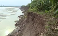 Hà Nội yêu cầu kiểm tra, xử lý cát tặc trên sông Hồng