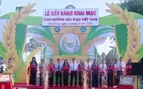 Độc đáo con đường lúa gạo Việt Nam