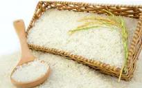 Đề án 1 triệu ha lúa chất lượng cao: Gia tăng giá trị hạt gạo