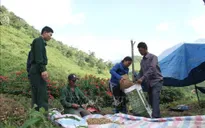 Tỷ lệ hộ nghèo theo chuẩn nghèo đa chiều giảm