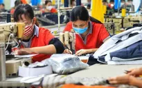 Hơn 200.000 doanh nghiệp thành lập mới và tái gia nhập thị trường