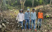 Bắt 4 người phá rừng trái phép ở Phú Quốc